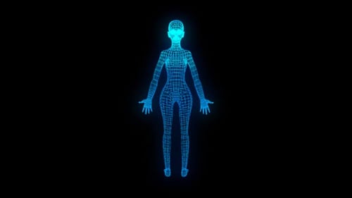 Anatomia do corpo feminino