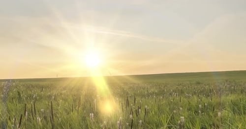 Hill Meadow Timelapse at the Summer or Autumn Time. Wild Endless Nature and Rural Field. Sun Rays