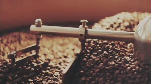 Roasting Coffee Beans in Metallic Machine