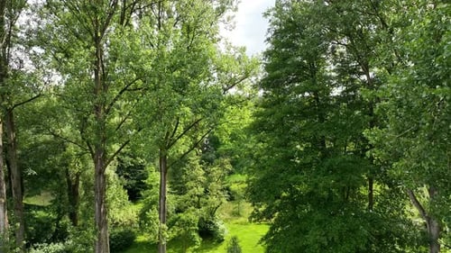 Aerial View of English Garden Type During Summer Season