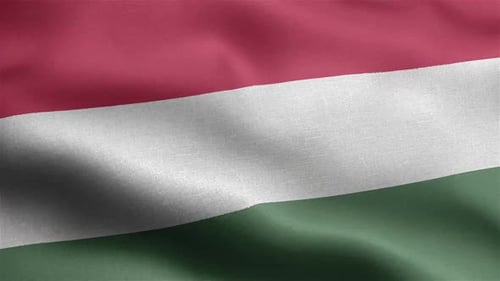 Realistic Waving Hungary Flag Seamless Loop Animation