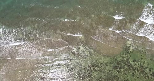Reef Waves