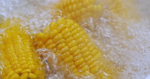 Corn on the Cob Boiled in Water
