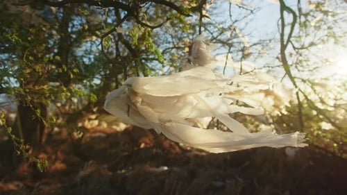 Vista de cerca de la emergencia por el cambio climático de una bolsa de plástico atada a ramas de árboles verdes