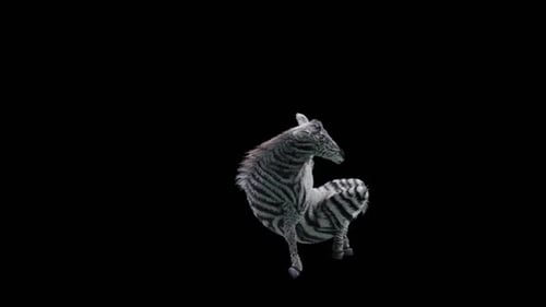 47 Zebra: Tanzen HD