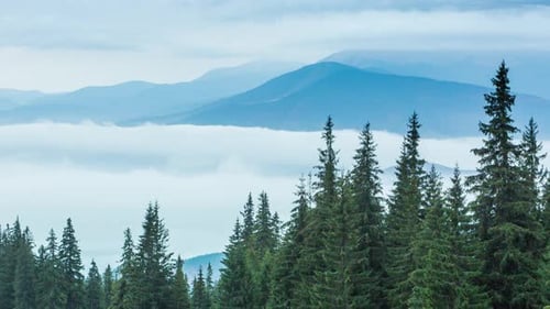 White Clouds Move Slowly Along Autumn Mountain Forest at Hill During Rain