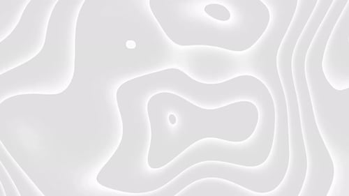 white grey Abstract shape wave futuristic motion background