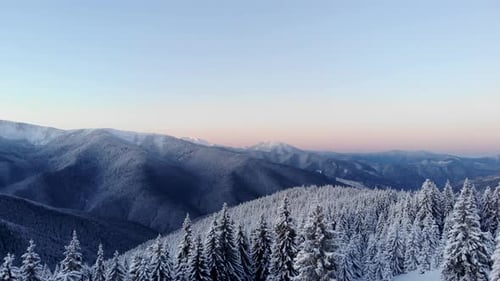 Luftflug über dem Winterwald im Bergtal bei Sonnenaufgang