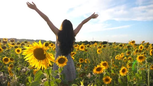Inspired Girl Standing Among Sunflowers Field and Raising Hands