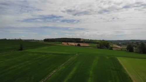 Aerial View of Verdant Farmland on Sunny Day