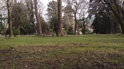 Empty wooden benches in park