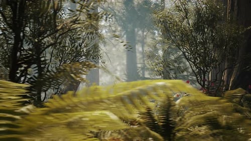 Bear In The Forest 1