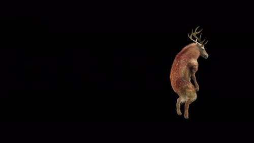 Animated 3D Deer Character Dancing and Moving with Alpha Channel