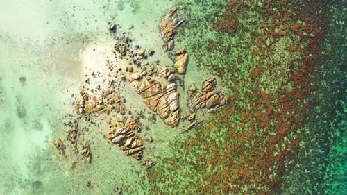 Aerial drone shot landscape of tranquil seashore beach holiday by blue green sea with white sand bac
