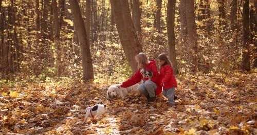 Mother with Daughter and Three Dogs in the Forest