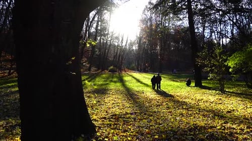 Rasen im Herbstpark.