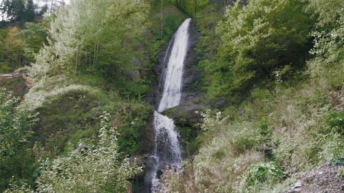 Waterfall in the wild nature