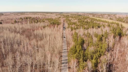 Spring Forest Road