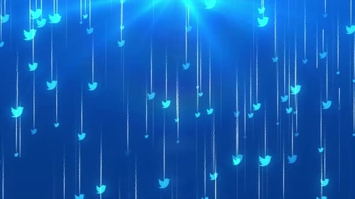 Digital Bird Icons Falling Stream Background Loop