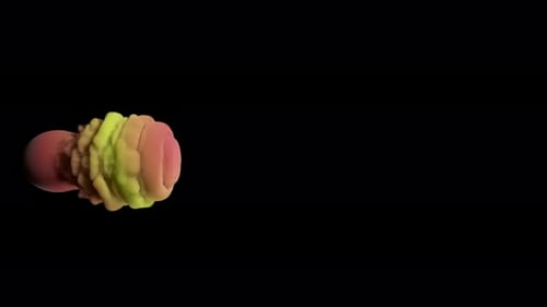Spritzer farbiger Tinte. Geheimnisvolle Illusion. Mehrfarbige Rauchwolke auf einem schwarzen Isolierten