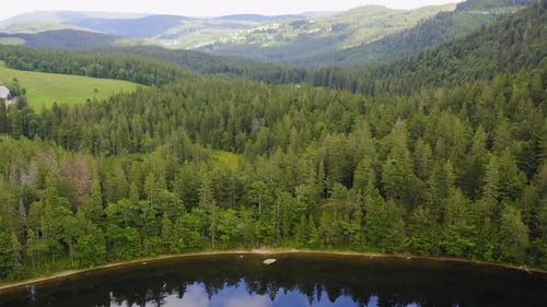 Aerial Over Lake and Green Forest