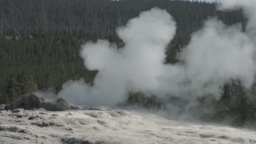 Dampfauslass im Yellowstone-Nationalpark