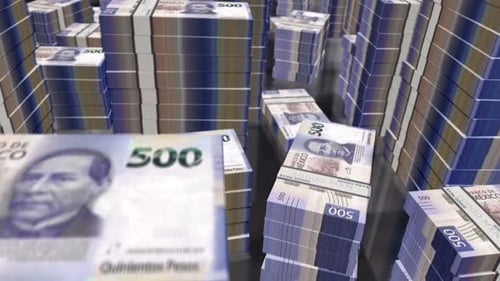3d flight over the Mexico Pesos money banknote packs loop