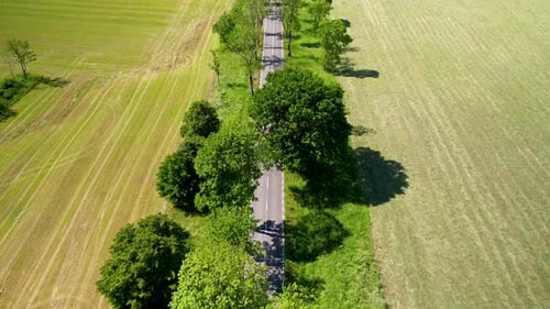 Aerial drone top down shot of countryside road surrounded by green trees between agricultural field