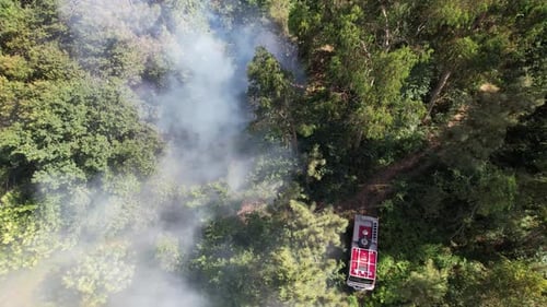 Aerial View of Forest Fire with Fire Truck