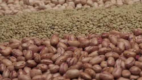 Piles of Dried Chickpeas, Lentils and Pinto Beans