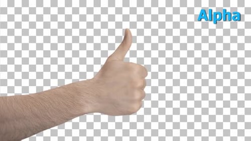 Hand Gestures Okay