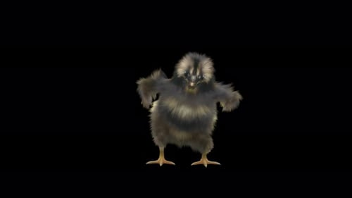 Cute Baby Chick Dancing Animation