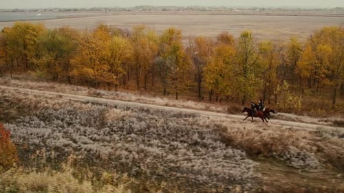 Horses and Riders Galloping on Rural Path