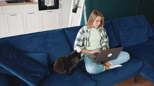 Draufsicht einer jungen konzentrierten Frau, die auf einem Laptop tippt und remote online arbeitet und auf dem Sofa sitzt