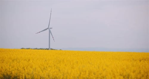 Windmill Wind Turbine Propeller Rotating at Rapeseed Farm
