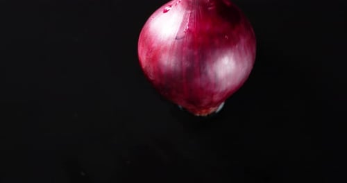 Rotating Red Onion on Black Background