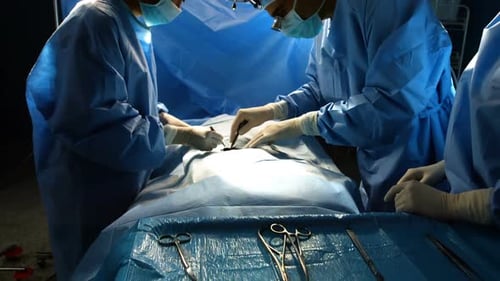 Chirurgen, die im Operationssaal operieren