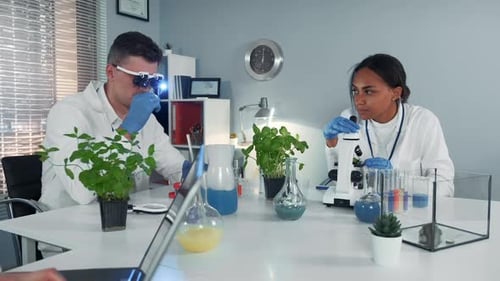 Proceso de trabajo de dos científicos mestizos en un laboratorio de química moderna