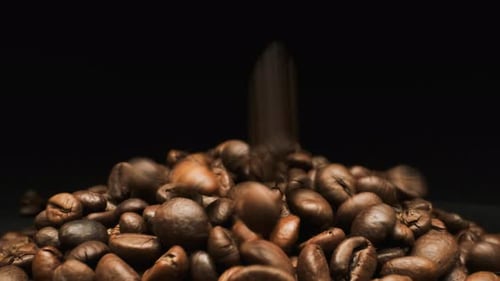 Fallende Kaffeebohne.. Nahaufnahme.