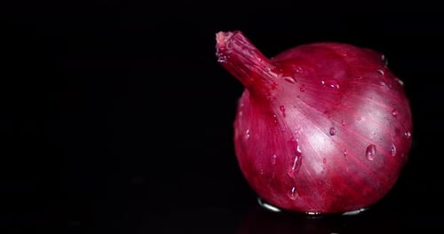 Vibrant Red Onion with Water Droplets on Black