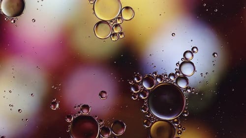 Abstract Colorful Food Oil Drops Bubbles 205