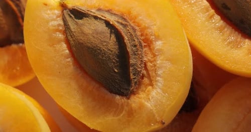 Close Up of Freshly Cut Apricots