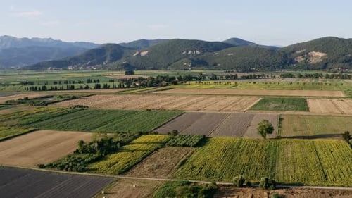 vue aérienne, étendue de champs agricoles cultivés