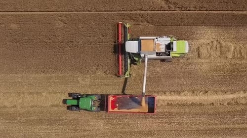 Combine Harvester in Action