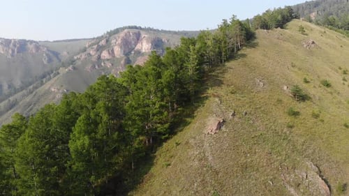 Aerial Shot Of Forest And Mountains in Summer