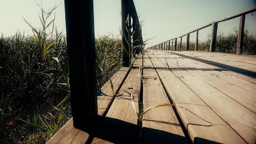 Wooden Bridge Over the River. Reeds Grow Around. Dolly. Close Up