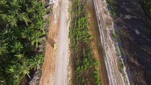 Road Roller Working on Tropical Roadway Construction