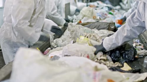 Workers Sorting Trash at Recycling Facility