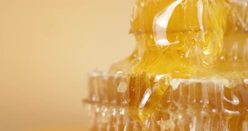 Honeycombs with Fresh Honey on the Table