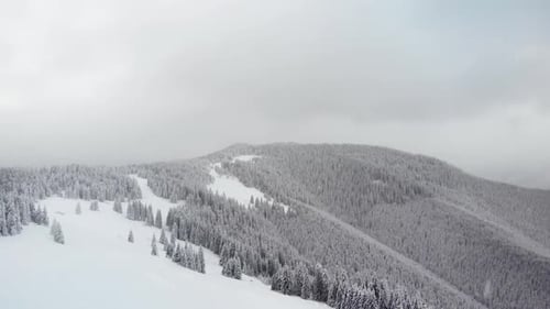 Vue aérienne de la forêt dans la vallée des montagnes